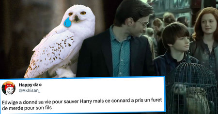 Harry Potter : cet internaute a listé les détails les plus rageants de la saga, Twitter approuve