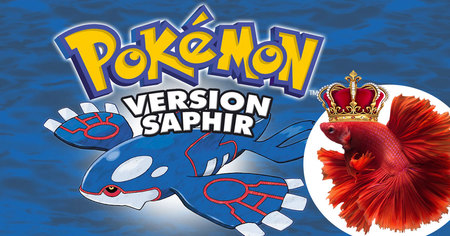 Pokémon Saphir : ce poisson finit enfin le jeu au bout de plusieurs milliers d'heures