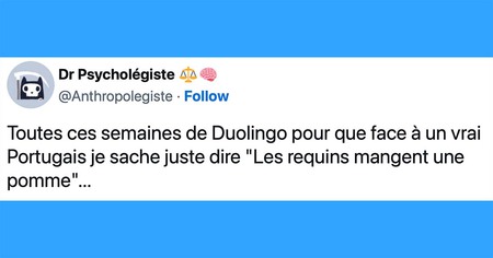 Top 20 des tweets les plus drôles sur Duolingo, para hablar otros idiomas