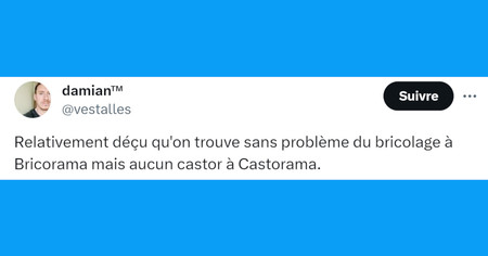 Top 20 des tweets les plus drôles sur le bricolage, pour les manuels