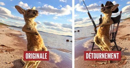 Photoshop Battle : ce kangourou à la plage déchaîne les internautes