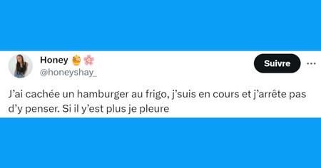 Top 20 des tweets les plus drôles sur les hamburgers, les rois du fast food