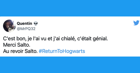 Harry Potter Retour à Poudlard : les meilleurs réactions des internautes à l'épisode spécial (32 tweets)