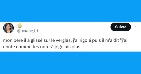 Top 20 des tweets les plus drôles sur le verglas, attention ça glisse