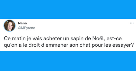 Top 20 des tweets les plus drôles sur les sapins de Noël, surveillez vos chats