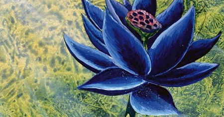 Magic : une carte Lotus Noir vendue pour une somme astronomique aux enchères