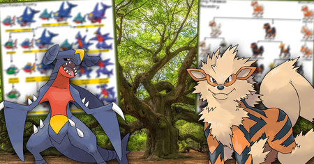 14 arbres généalogiques de familles de Pokémon qui mériteraient de figurer au programme de SVT