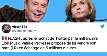 Elon Musk rachète officiellement Twitter, les internautes accueillent le nouveau 