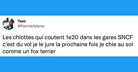 Top 30 des meilleurs tweets sur les WC, parfait pour passer le temps sur le trône