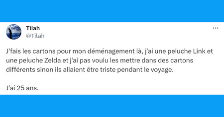 Top 20 des tweets les plus drôles sur les déménagements, on ne peut compter sur personne