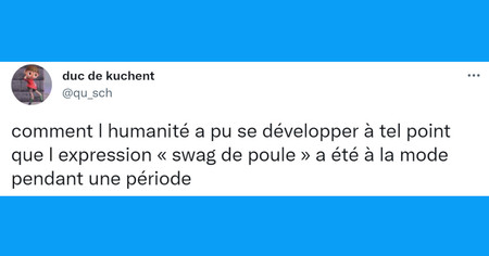 Top 20 des tweets les plus drôles sur les expressions françaises