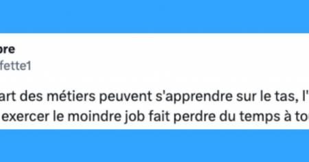 Les internautes partagent leurs 15 opinions les plus controversées sur les études