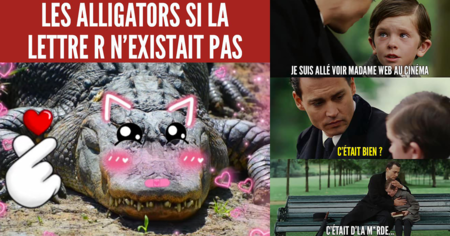 Top 30 des meilleurs memes publiés sur Trolls de Geek en février 2024