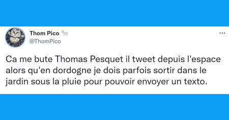 Top 20 des tweets les plus drôles sur les jardins, la nature à portée de main