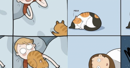 Ces 27 BD vont forcément parler aux propriétaires de chats