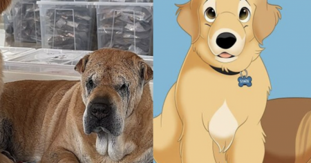 Ces chats et chiens sont transformés en personnages Disney