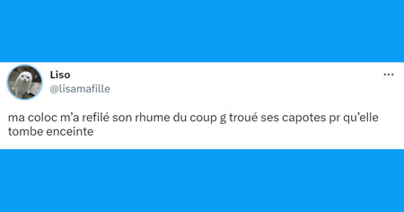 Top 20 des tweets les plus drôles sur les colocataires, des voisins encore plus envahissants