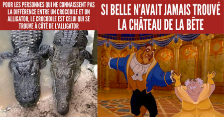 Top 35 des meilleurs memes publiés sur Trolls de Geek en août 2023