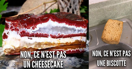 Ces 30 photos de nourriture ne sont pas des photos de nourriture en réalité