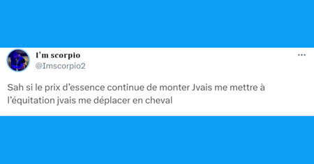 Top 20 des tweets les plus drôles sur les chevaux, galopez vers l'humour