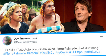 TF1 commet une énorme bourde en diffusant ce film Astérix avec Pierre Palmade, les internautes outrés (13 tweets)