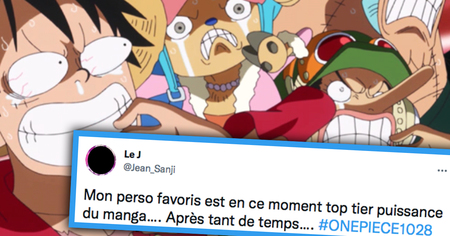 One Piece #1028 : ce personnage adoré des fans monte en puissance et choque les internautes (31 tweets)