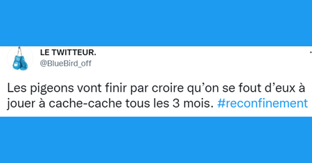 Reconfinement : les internautes envisagent d'être reconfinés avec humour (21 tweets)