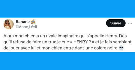 Top 20 des tweets sur les chiens, les meilleurs amis de l'homme (partie 2)