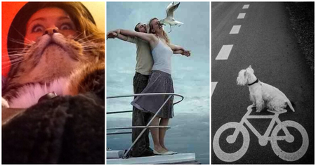 43 photos prises avec un timing parfait