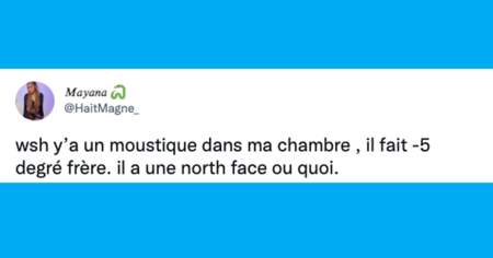 Top 20 des tweets les plus drôles sur les moustiques, on vous déteste