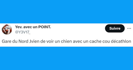 Top 20 des tweets les plus drôles sur Decathlon, pour les sportifs