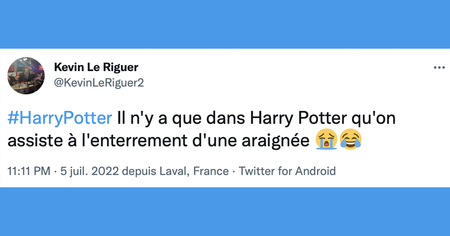 Harry Potter : les 30 meilleurs tweets face à la rediffusion du Prince de Sang-Mêlé sur TF1