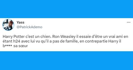 Top 20 des tweets les plus drôles sur Harry Potter, le sorcier surcôté