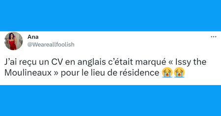 Top 20 des tweets les plus drôle sur les CV, votre avenir est en jeu