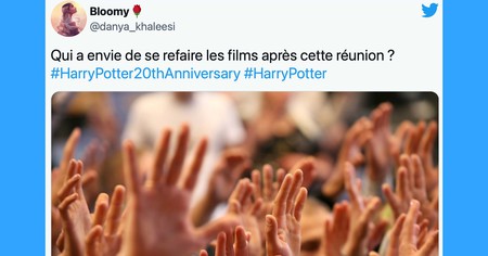 Harry Potter Retour à Poudlard : les fans réagissent à l'épisode spécial sur TF1 (25 tweets)