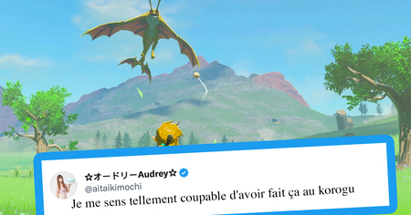 Zelda Tears of the Kingdom : 20 joueurs qui torturent les korogus de la pire des manières