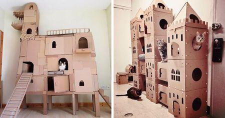 Ils construisent des forteresses en carton géniales pour leurs chats (55 photos)