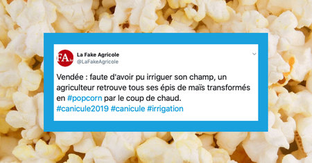 Top tweets spécial canicule : on a trop chaud !