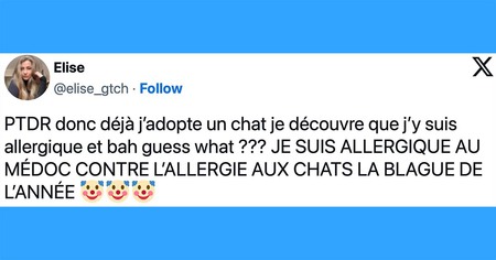 Top 20 des tweets les plus drôles sur les médicaments, pour les grands corps malades