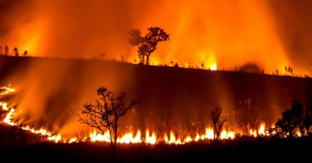 Australie : 21 photos avant et après les incendies