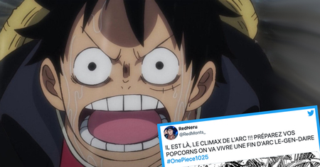 One Piece #1025 : cette dernière scène avec Luffy et (SPOILER) a rendu les fans complètement fous (25 tweets)