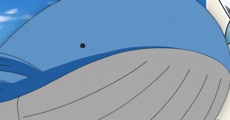 Pokémon : il imagine l'évolution de Wailord, et c'est une réussite absolue