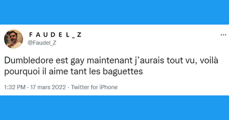 Les Animaux Fantastiques 3 : le fait que Dumbledore soit gay dans l'univers canon fait débat (15 tweets)