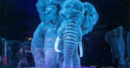 Un cirque fait l'impasse sur les animaux sauvages et propose des hologrammes