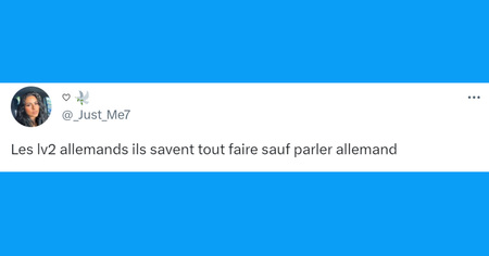 Top 20 des tweets les plus drôles sur l'Allemagne et les Allemands, nos chers voisins