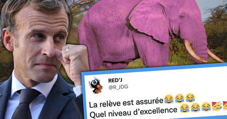 Les perles du bac 2022 de philo sont tombées, Emmanuel Macron et les éléphants roses à l'honneur