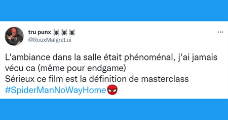 Spider-Man No Way Home : les meilleures réactions des internautes après avoir vu le film (42 tweets)