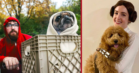 Halloween 2020 : les 35 meilleurs costumes d'animaux