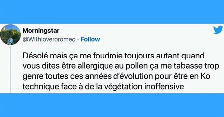 Top 21 des tweets les plus drôles sur les allergies, quand le printemps est un enfer