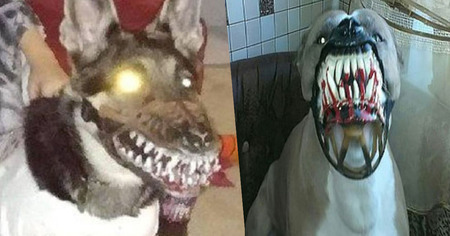 Les internautes partagent des photos de leurs chiens en version zombie